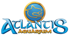 Atlantis Aquarium