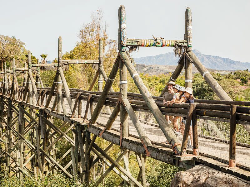 Gran puente de África